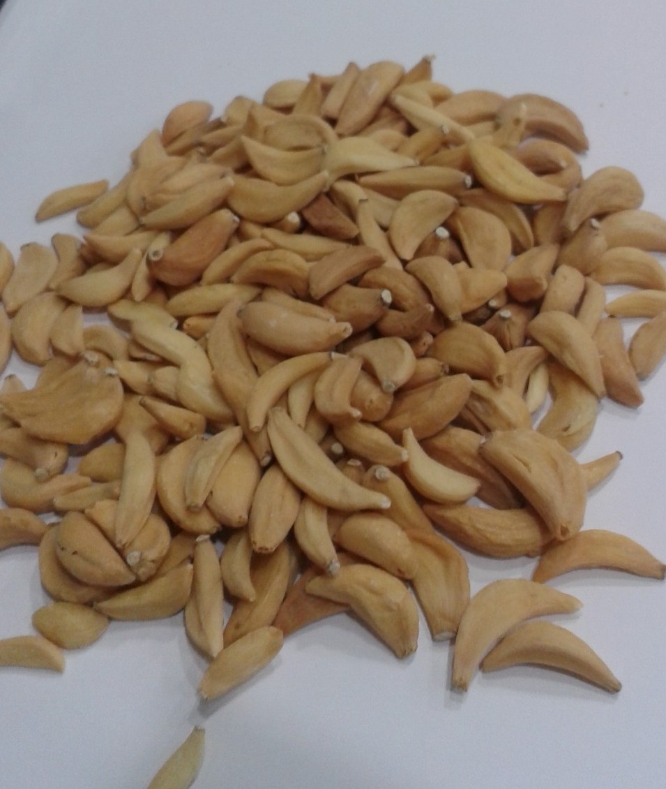 Garlic Flakes